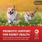 Vetoquinol Azodyl, Kidney Support Supplement for Dogs and Cats, 90 Count