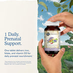 Garden of Life Organics Prenatal Once Daily with Folate, Vitamin C, B6, B12 & D3 – Prenatal Vitamins for Women with Energy Metabolism Support for Healthy Fetal Development, Non-GMO, Vegan, 30 Tablets
