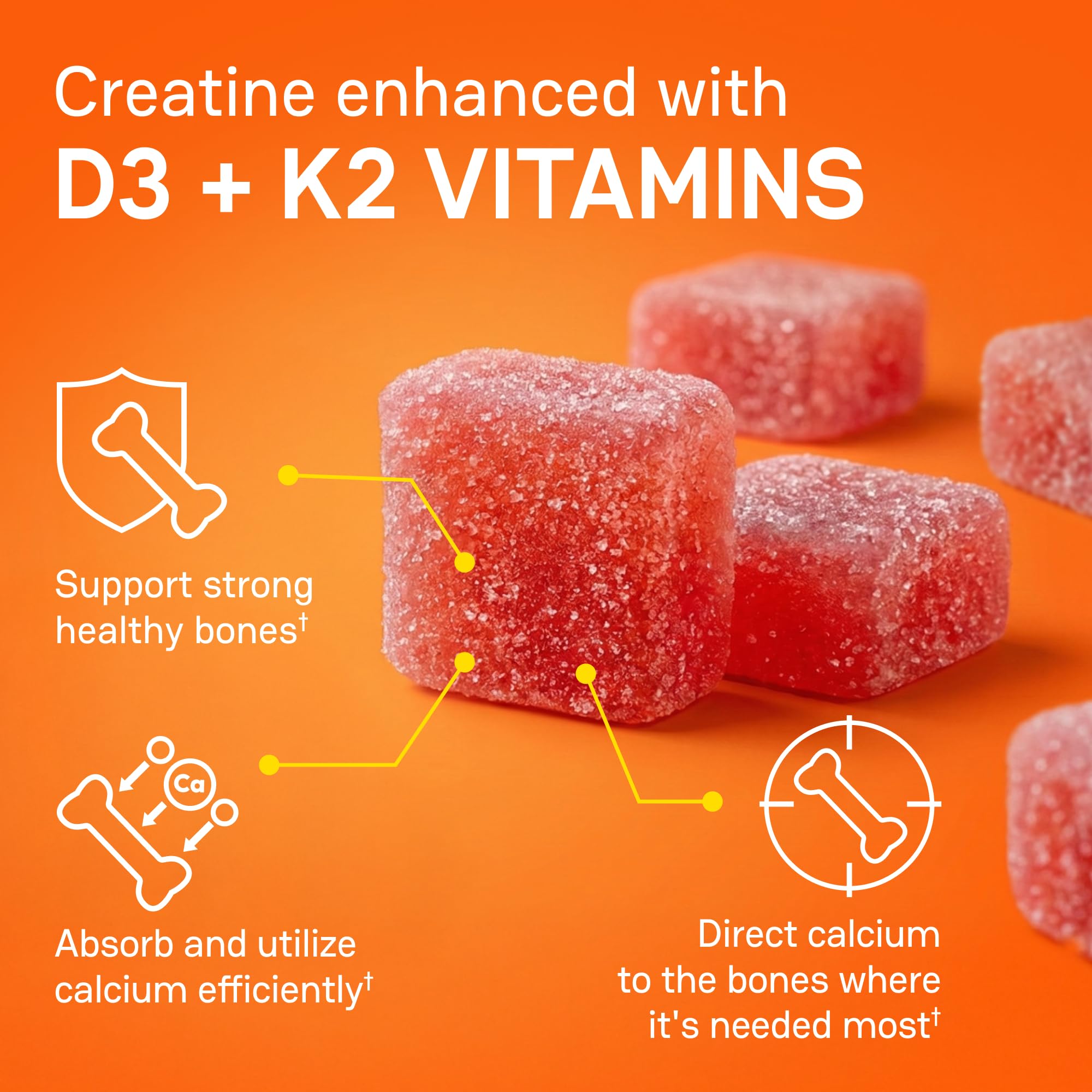 Zena Nutrition Creatine Gummies with D3 & K2, Creatine Monohydrate for Men and Women, Supports Bone, Muscle, & Cognitive Health, Gummy Workout Supplement, Blue Raspberry Flavor, 120ct, 30 Servings