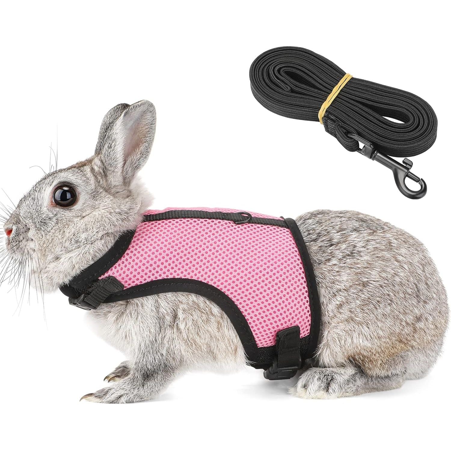 Buy now PETTOM Bunny Rabbit Harness with Stretchy Leash Cute Adjustable Buckle Breathable Mesh Vest for Kitten Small Pets Walking (Blue,S) XS(Chest:7.87-10.6 in) Pink at indiglob india
