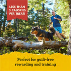 Zuke's Mini Naturals Dog Training Treats, Salmon Recipe, Soft Mini Dog Treats with Vitamins & Minerals, Made for All Breed Sizes (Salmon, 16 Ounce (Pack of 2)