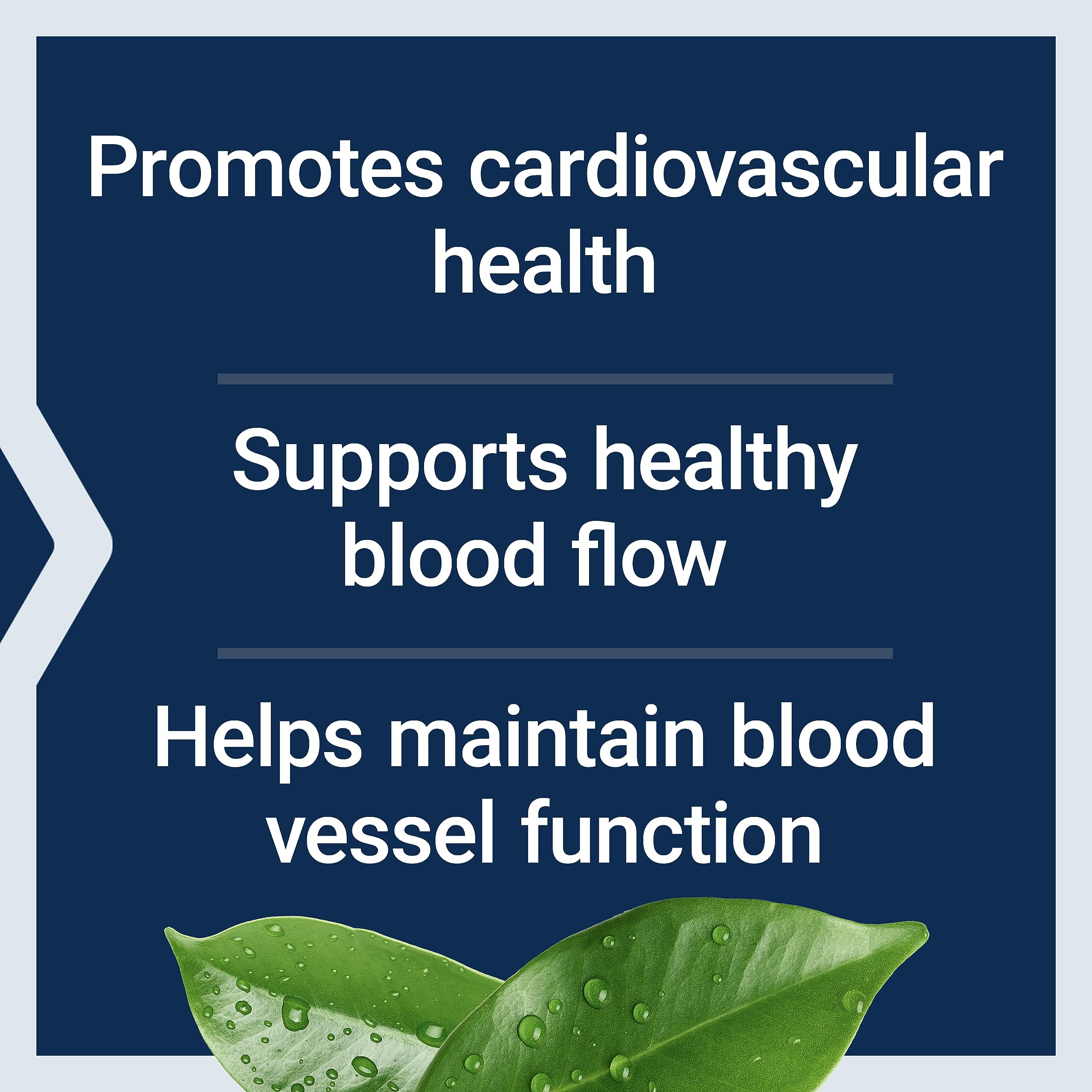 Life Extension Potassium with Extend-Release Magnesium – Heart Health Supplement for Blood Pressure Support with Two Essential Minerals – Non-GMO, Vegetarian, Gluten-Free – 60 Capsules