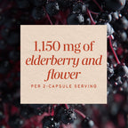 Nature's Way Black Elderberry Capsules, 1,150 mg per Serving, Vegan, 100 ct | Traditional Immune Support Supplement with Elderberry and Elderflower*, Plant-Powered Vegan Capsules