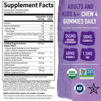 Garden of Life Organics Elderberry Gummies for Adults & Kids - Immune Support Supplement with Organic Fruit, Herbal Blend, Elderberry, Echinacea, Zinc, Vitamin C, 120 Vegan Gluten Free Gummies