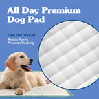 Simple Solution Large Puppy Training Pads, Leak Proof, 23"x24" 100 Count