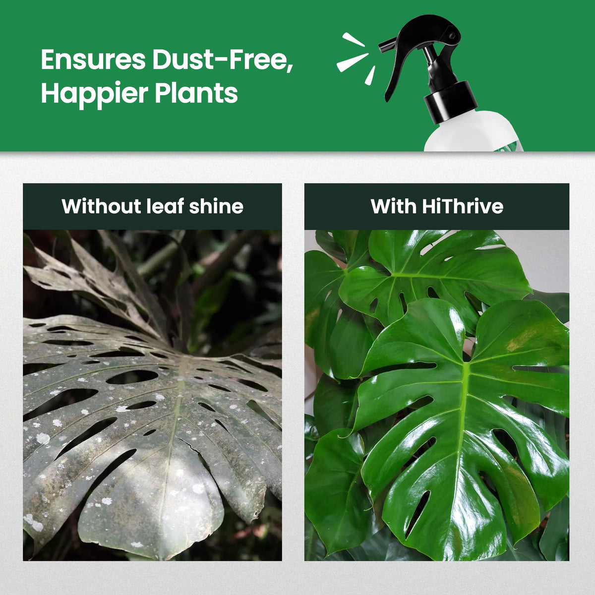 Leaf Shine Spray for Indoor Plants, Ready to Use Mist, 8oz