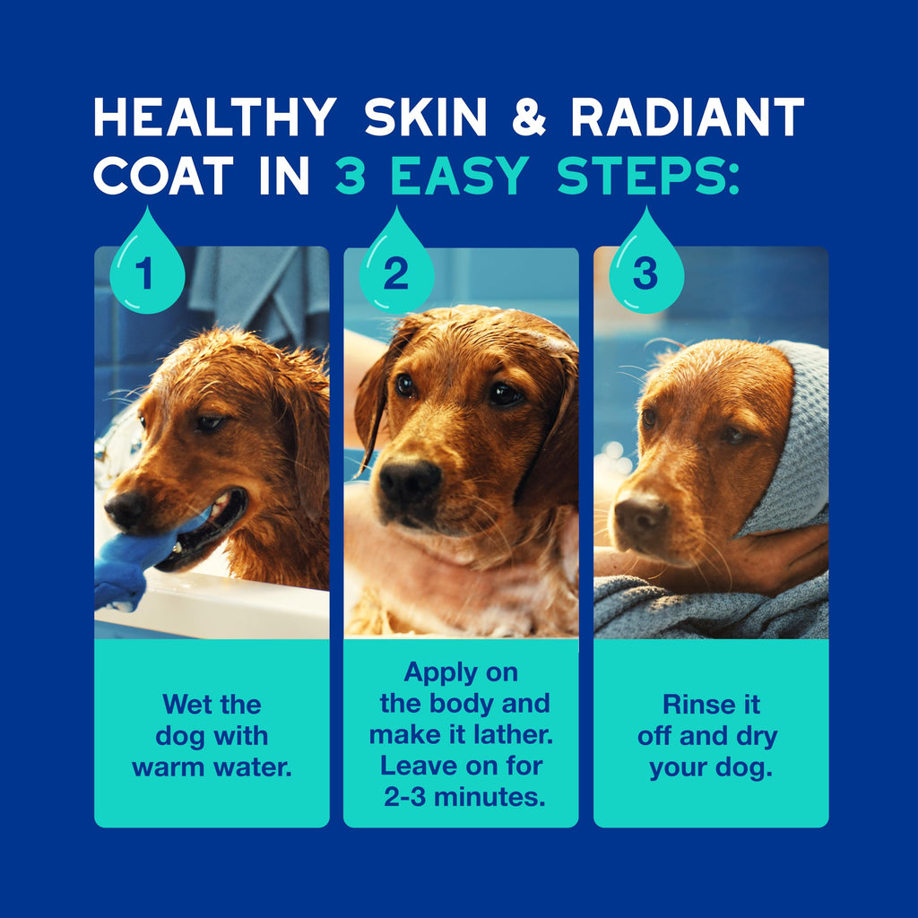 DOUXO SPA Dog Shampoo for Smelly Dogs, 16 fl oz