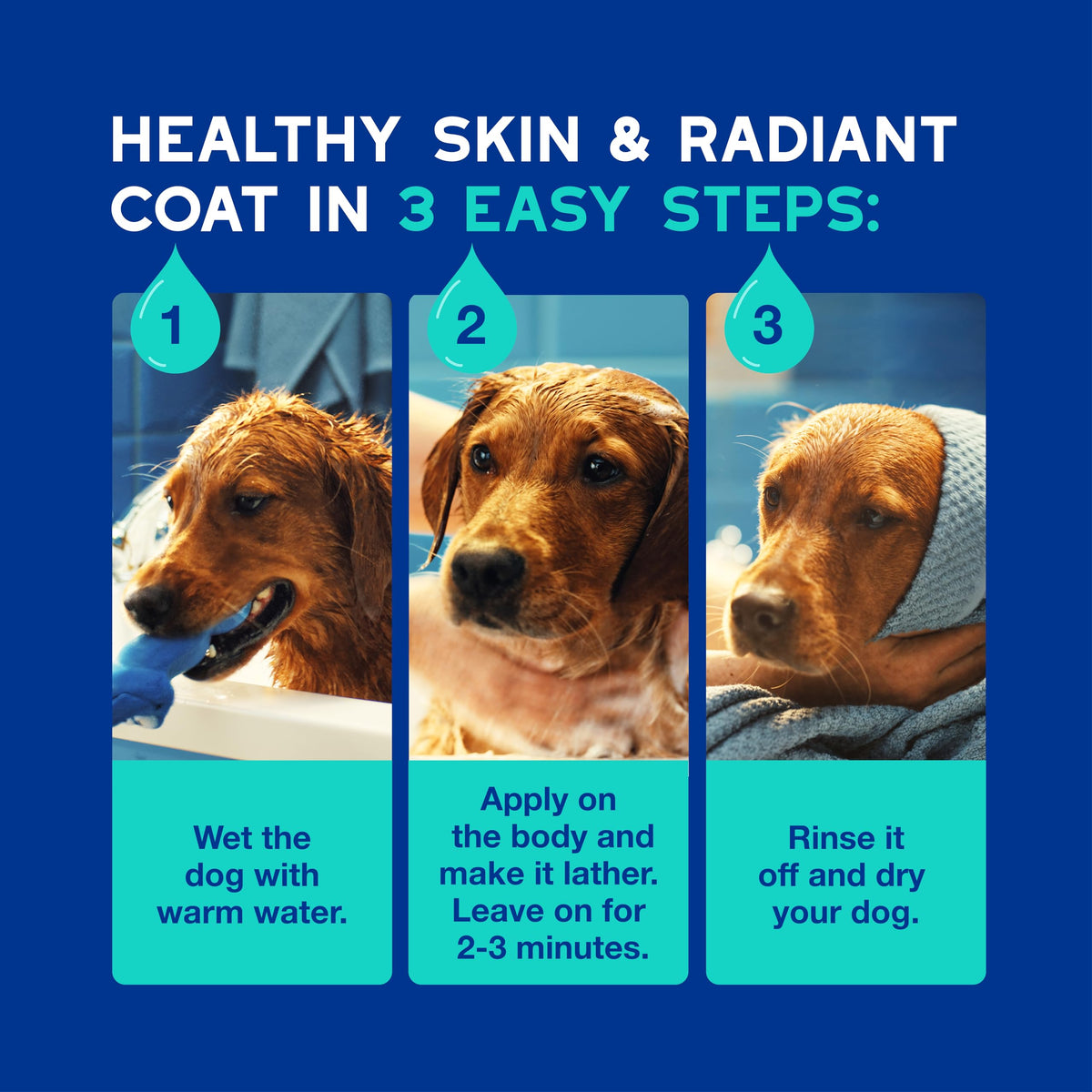 DOUXO SPA Dog Shampoo for Smelly Dogs, 16 fl oz