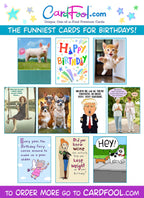 Funny Birthday Card for Women, Friends, Cat Lovers! Cute Kitten Photo