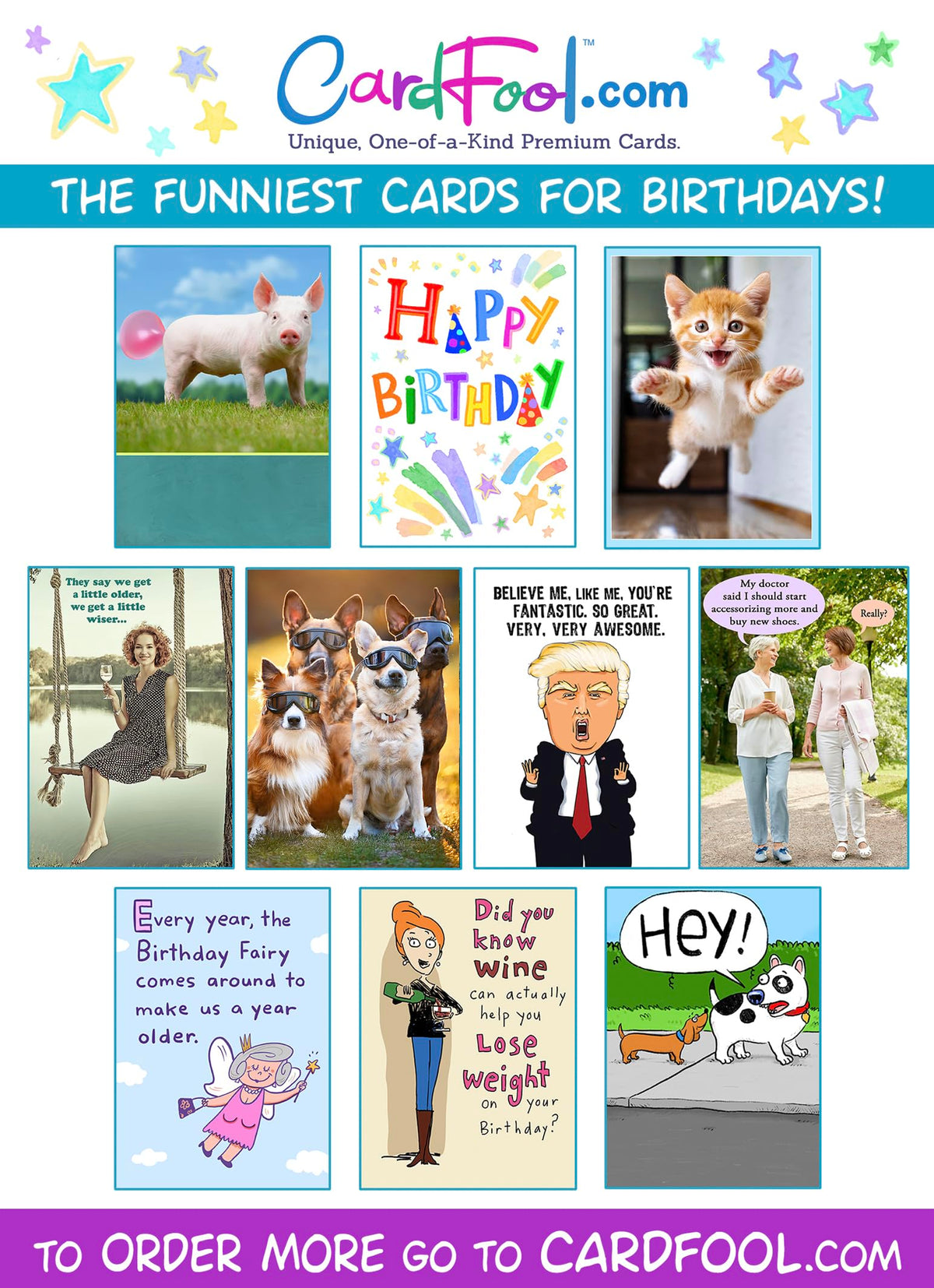Funny Birthday Card for Women, Friends, Cat Lovers! Cute Kitten Photo