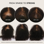 Maelove Full Follicle Advanced Scalp Serum with Peptides and Growth Factors