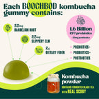 BoochBod - Probiotic Kombucha Gummy - Prebiotics, Probiotics, Postbiotics, Fiber Supplement, Slippery Elm, Dandelion Root, for Bloating, Gut Health - for Women and Men - Lemon Lime (Lemon Lime)
