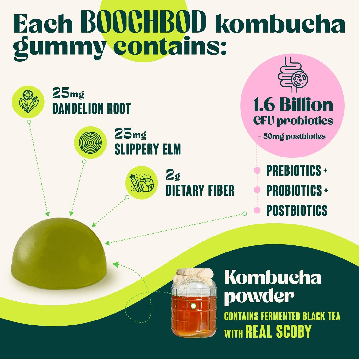 BoochBod - Probiotic Kombucha Gummy - Prebiotics, Probiotics, Postbiotics, Fiber Supplement, Slippery Elm, Dandelion Root, for Bloating, Gut Health - for Women and Men - Lemon Lime (Lemon Lime)