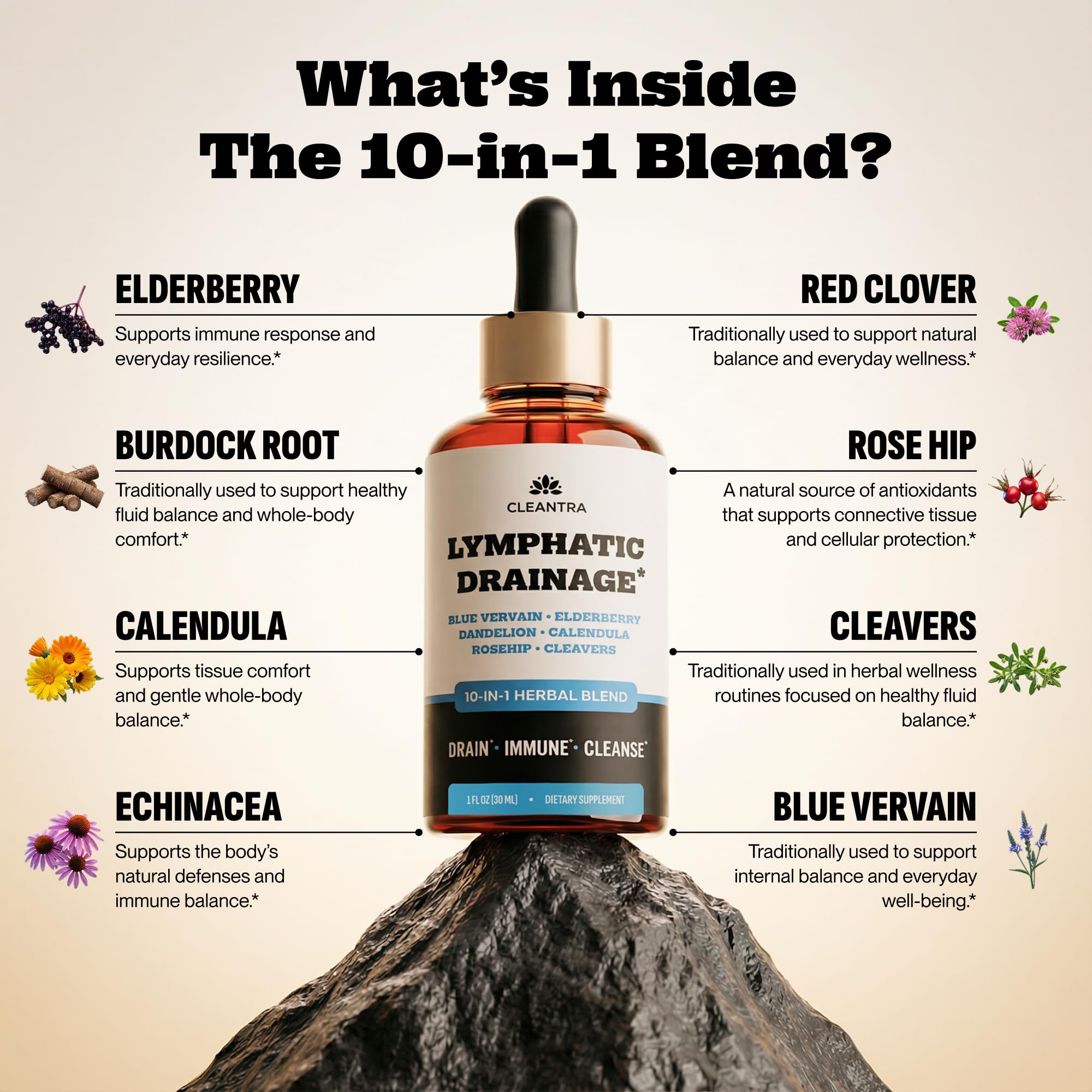 Lymphatic Drainage Support Drops - 10-in-1 Herbal Supplement Blend Complex | with Burdock, Dandelion, Elderberry - 2 fl oz