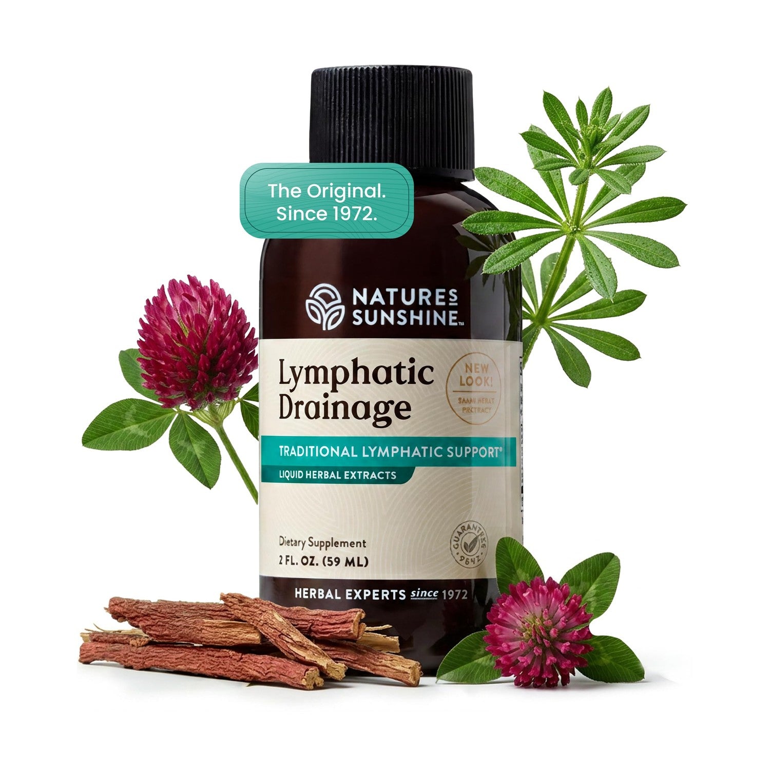 Nature's Sunshine Lymphatic Drainage Drops with Cleavers Extract - 60 Serv. | Herbal Lymphatic Support Supplement Complex for Lymph Drainage, Red Clover, Red Root & Prickly Ash Bark for Lymph System Flow