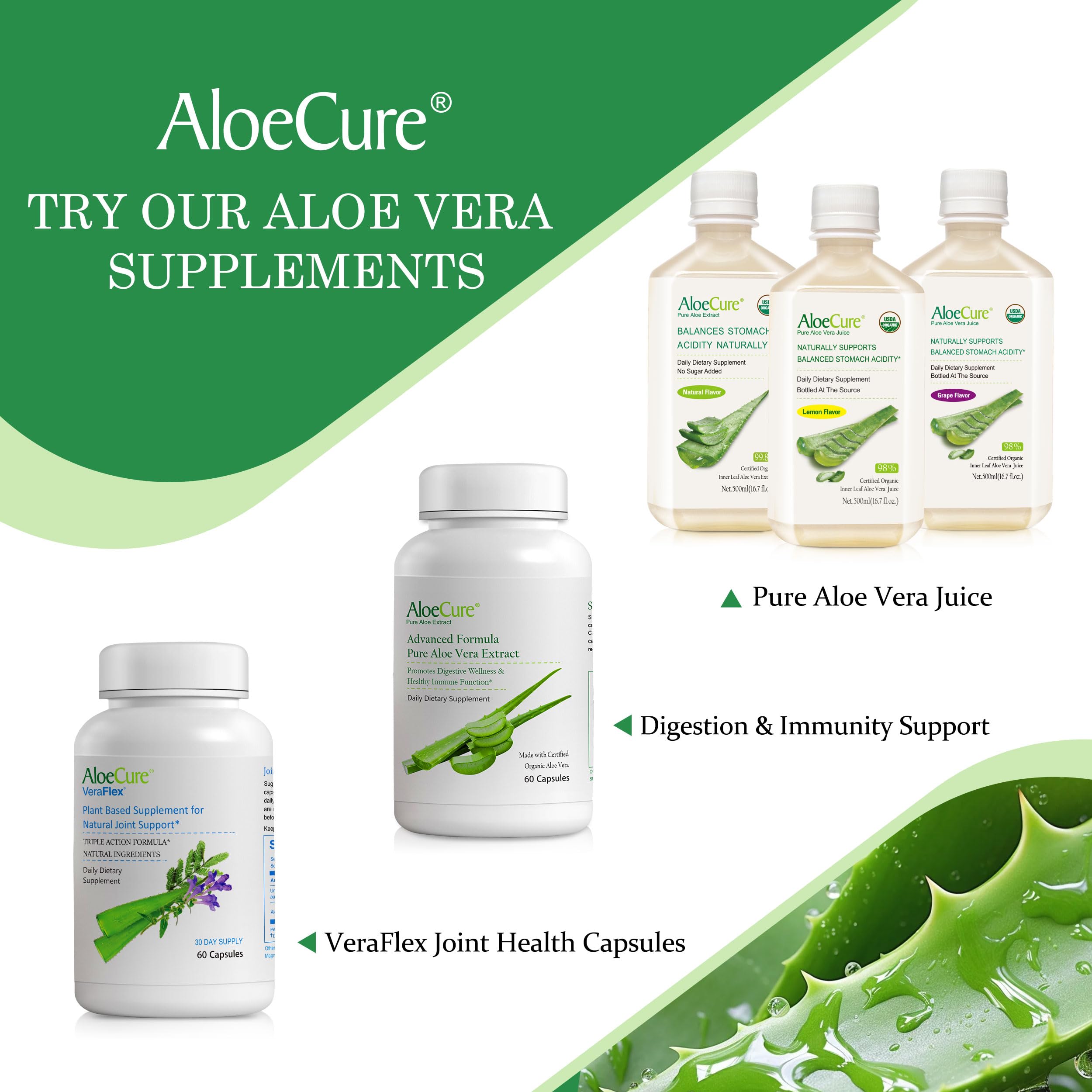 Aloe Vera Capsules for Gut Health & Digestive Comfort 60ct x 300mg | Gently Support Gut Health & Digestive Comfort. Vegan, non-GMO Aloe leaf extract. Aloin Free Naturally Support Immune Health