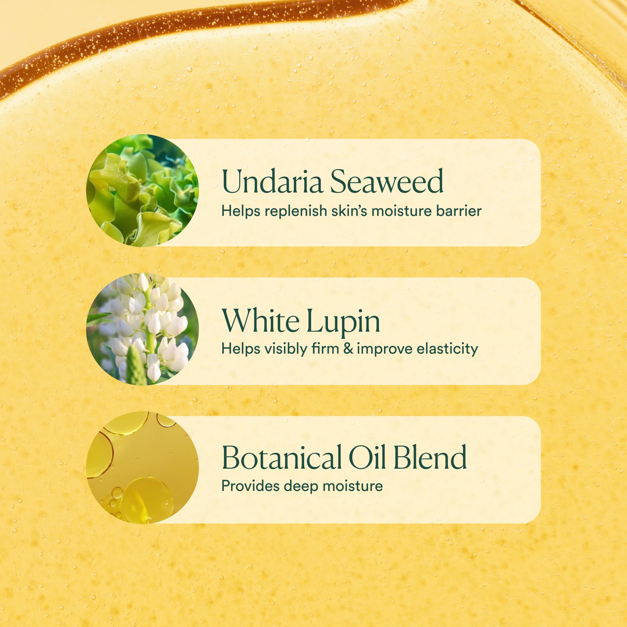 Buy now OSEA Undaria Algae Body Oil 5 oz – Visibly Firming, Deeply Moisturizing, Instantly Improve Elasticity, Clean Lightweight Non-Greasy Hydration, Vegan & Cruelty-Free Seaweed Skincare at indiglob india