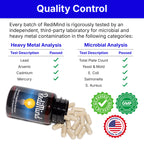 Natural Cognitive Support and Brain Supplement, Vegan, Gluten-Free | Sharpens Memory, Focus, Concentration, and Recall While Promoting Mental Clarity and Cognitive Function, 30-Day Supply