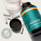 Primal Harvest Magnesium - Daily Vegan Supplement, Gluten, Dairy & Soy Free