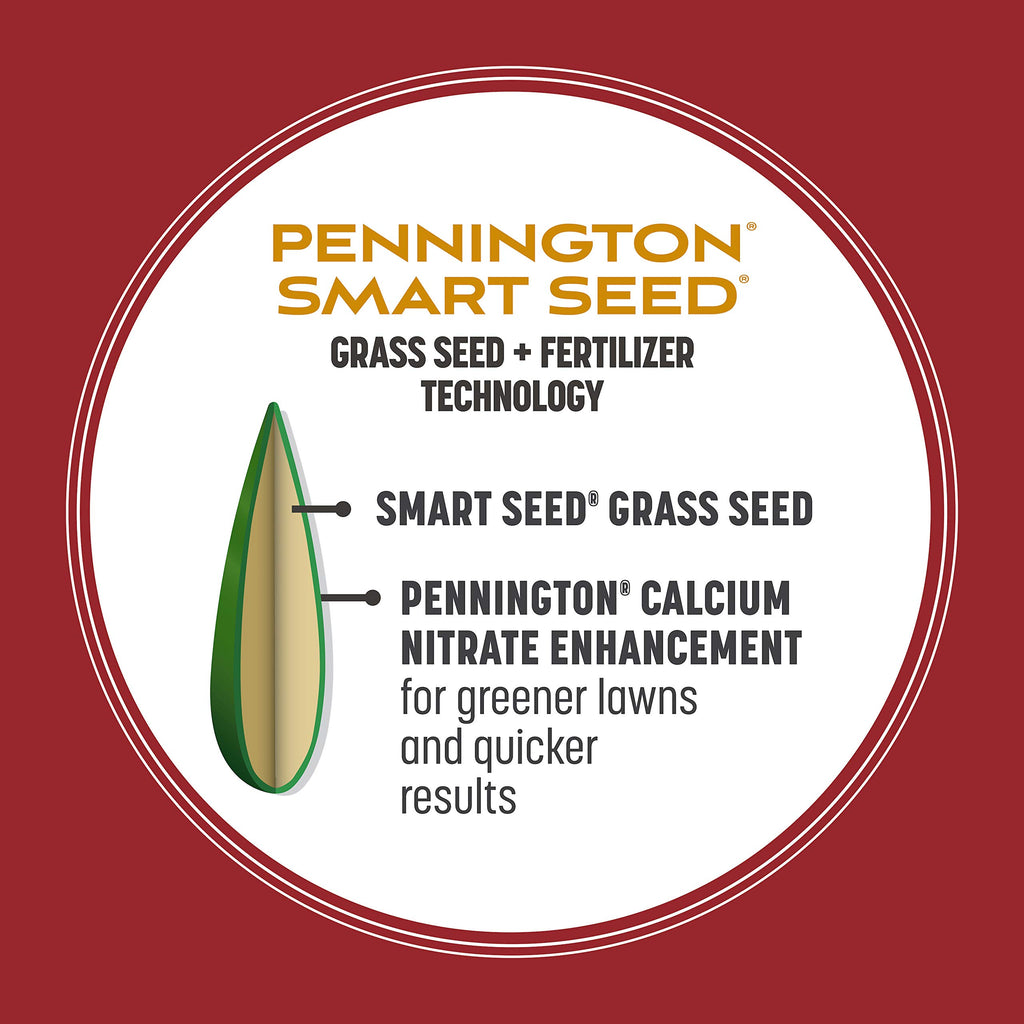 Pennington Smart Seed Perennial Rye Grass Seed Plus Fertilizer, 3 lb