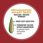 Pennington Smart Seed Perennial Rye Grass Seed Plus Fertilizer, 3 lb