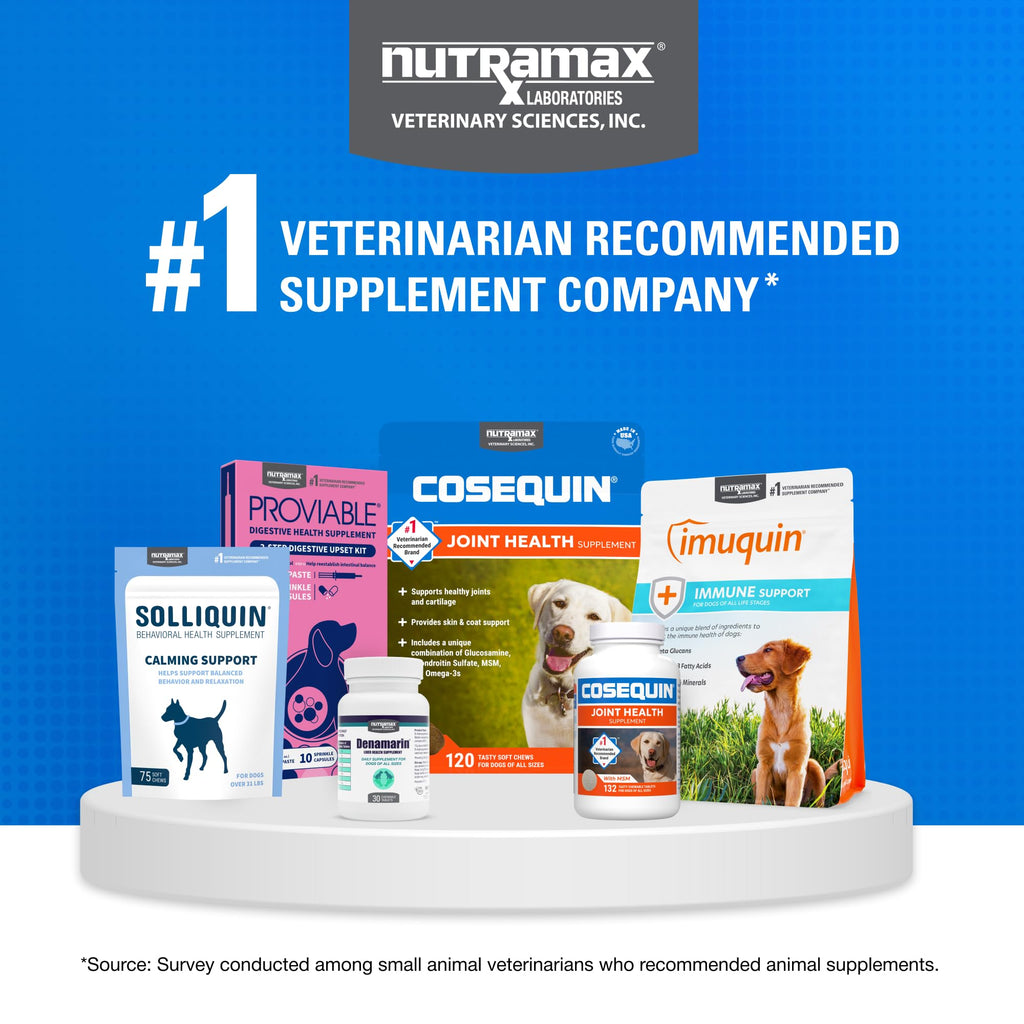 Nutramax Cosequin Joint Supplement for Dogs, Skin & Coat, Soft Chews,120ct