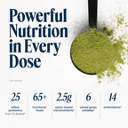 Vibrant Health, Green Vibrance, Vegan Superfood Powder, Boost Energy, 60 Servings