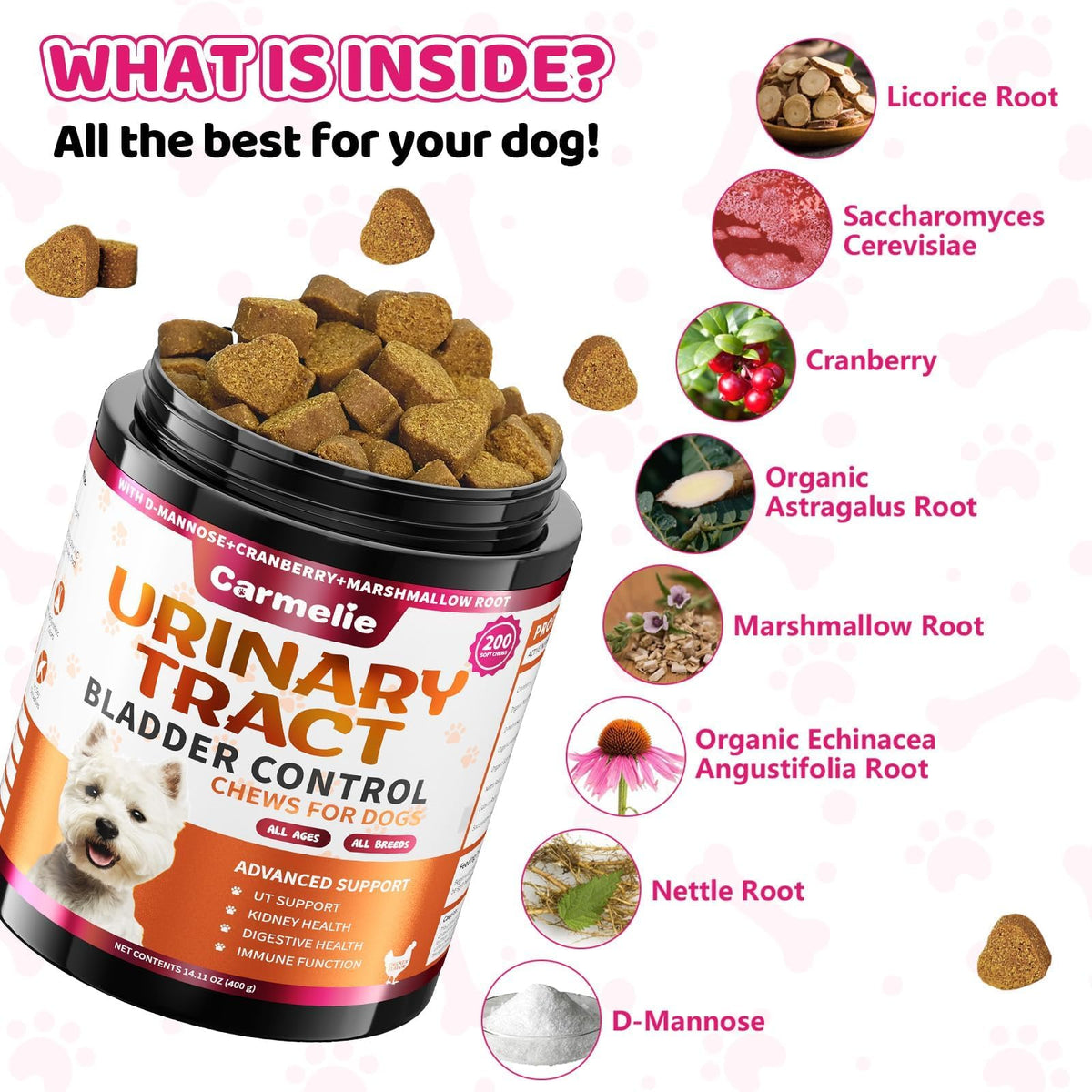 Cranberry for Dogs, Dog Urinary Tract & Bladder Support + D-Mannose, 200ct