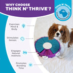 Outward Hound Nina Ottosson Dog Twister Dog Toy Treat Puzzle, 11.8"