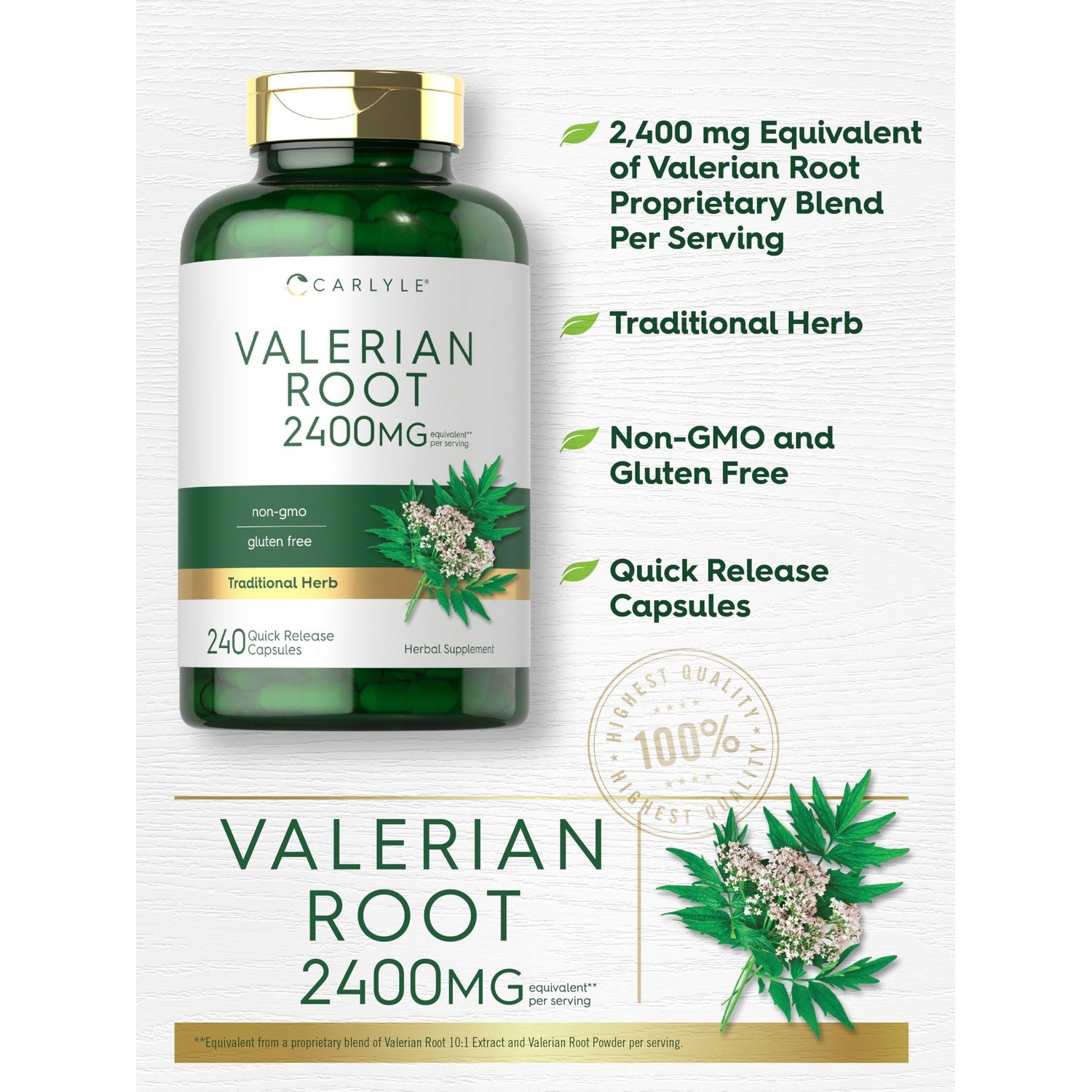 Carlyle Valerian Root Extract Supplement | 240 Capsules | Traditional Herbal Formula | Non-GMO & Gluten Free