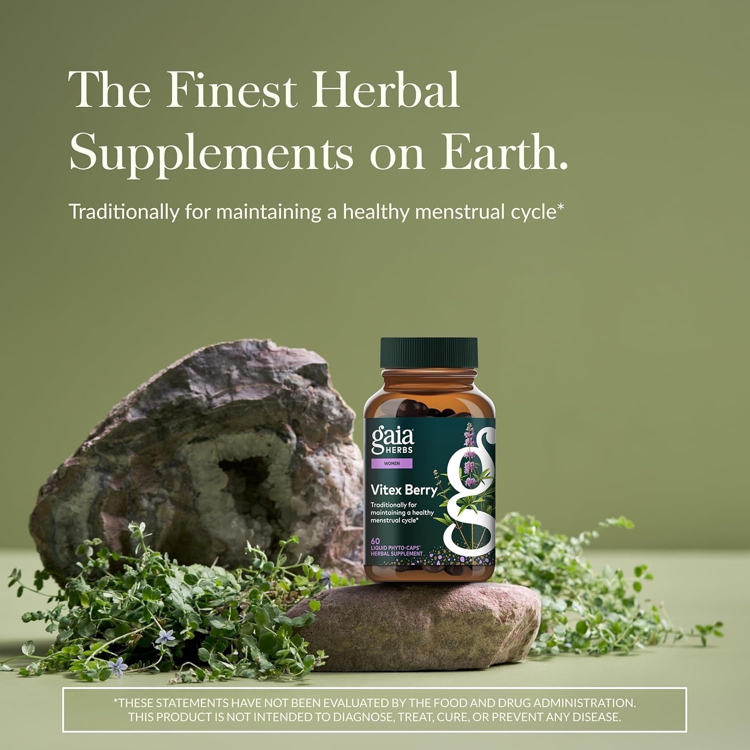 Buy now Gaia Herbs Vitex Berry - Supports Hormone Balance & Fertility in Women - 60 Vegan Liquid Phyto-Capsules (30-Day Supply) at indiglob india