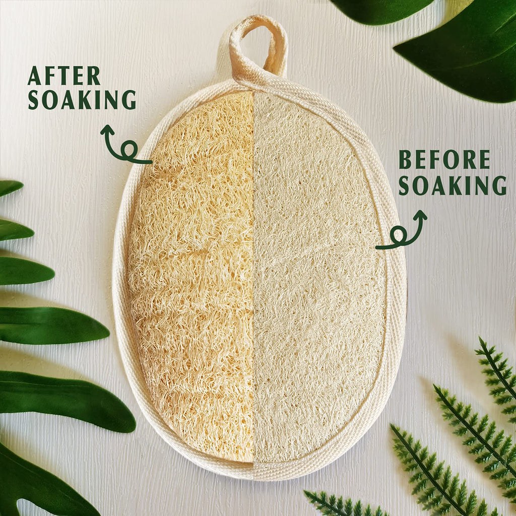 YIQINGJIE Natural Loofah Exfoliating Body Scrubber,4 Pack,Brown | Shower Loofah for Women and Men,Made with Eco-Friendly and Biodegradable Soft Shower Luffa Sponge