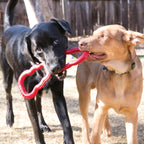 KONG Tug Toy, Natural Rubber Dog Toy for Tug of War, for Medium/Large Dogs