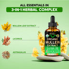 Mullein Drops for Lungs - USDA Organic Mullein Leaf Extract Liquid - 2 oz | Respiratory Health Support for Women & Men - Lung & Bronchial Cleanse for Smokers - As Tincture, Tea, Pills