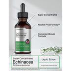 Horbaach Echinacea Drops Herb Tincture | 2 fl oz