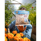 Natures Good Guys 1500 Live Ladybugs - Good Bugs- Ladybugs - Guaranteed Live Delivery!