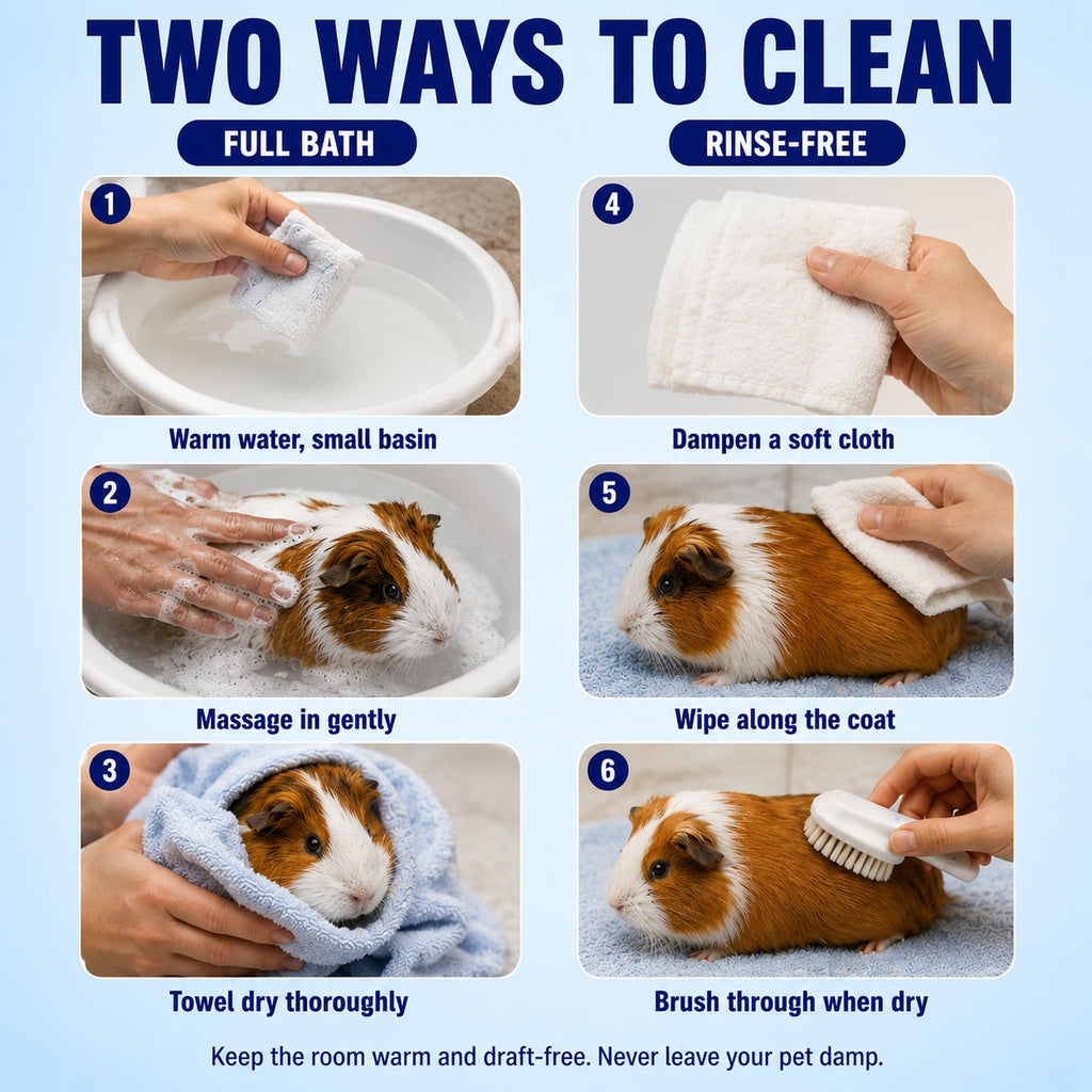 Natural Oatmeal & Aloe Vera Small Pets Shampoo for Guinea Pig, Bunny, Ferret & Rabbit Shampoo - Hypoallergenic for Sensitive Skin. 8 fl. oz. (Unscented)