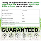 BrocElite Mara Labs Plus | Stabilized Broccoli Sulforaphane Supplement | Glyphosate Residue Free Certified – Third-Party Tested | 60 Vegan Capsules