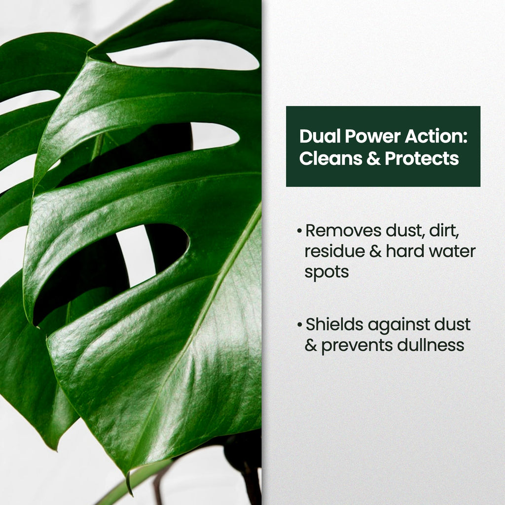 Leaf Shine Spray for Indoor Plants, Ready to Use Mist, 8oz