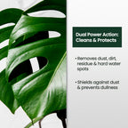 Leaf Shine Spray for Indoor Plants, Ready to Use Mist, 8oz