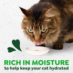 Greenies Feline Smart Purees Skin & Fur Health Lickable Cat Treats with Real Salmon, 0.49 oz. Tubes, 20 Count