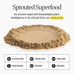 BIG BOLD HEALTH Himalayan Tartary Buckwheat Sprout Powder - Rich in Polyphenols & Prebiotic Fiber - Non-GMO, Gluten-Free, Grain-Free, Vegetarian - 30 Servings