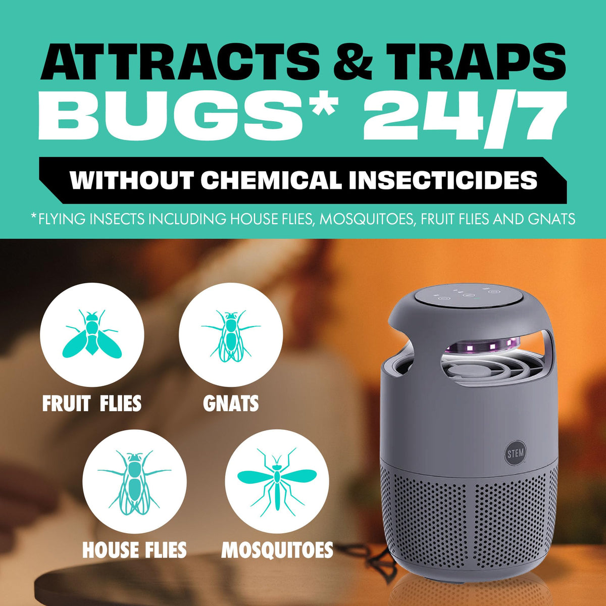 STEM Flying Insect Fan Trap for Indoor Bug Control, Attracts Mosquitoes, Fruit Flies, and House Flies, Plug-in Fan with UV Light, Starter Kit Includes 1 Device and 10 Glue Traps