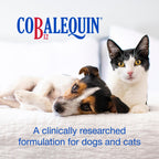 Nutramax Cobalequin B12 for Dogs and Cats, Oral Cobalamin Supplement with Folate, Vitamin B12 for Dogs Under 22 lbs. and Cats, Supports GI Health, Chewable Tablets, 45 Count (Pack of 2)