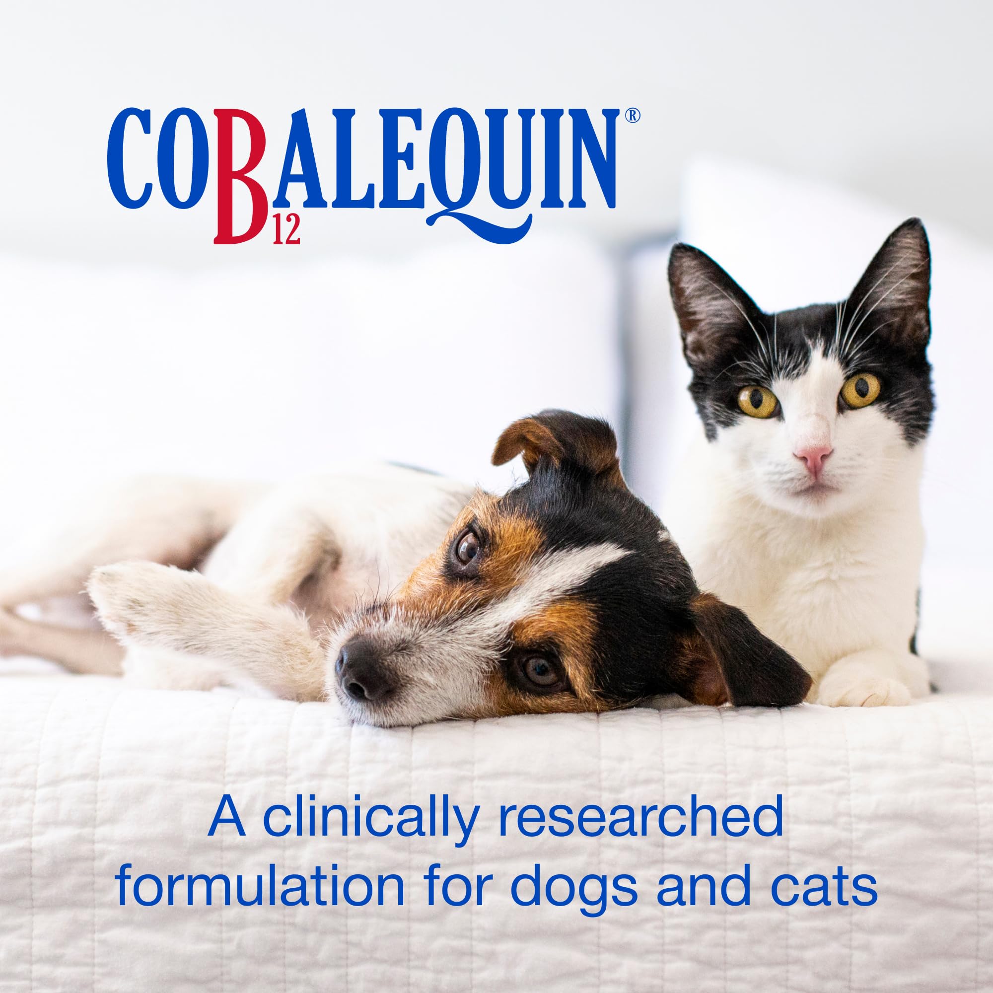 Nutramax Cobalequin B12 for Dogs and Cats, Oral Cobalamin Supplement with Folate, Vitamin B12 for Dogs Under 22 lbs. and Cats, Supports GI Health, Chewable Tablets, 45 Count (Pack of 2)