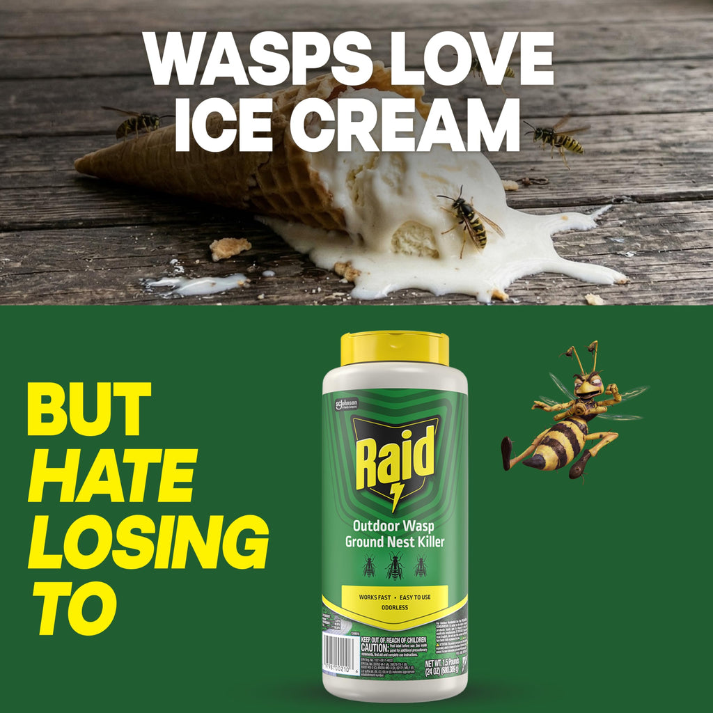 Raid Outdoor Ground Nest Wasp & Insect Killer Dust, 24 oz