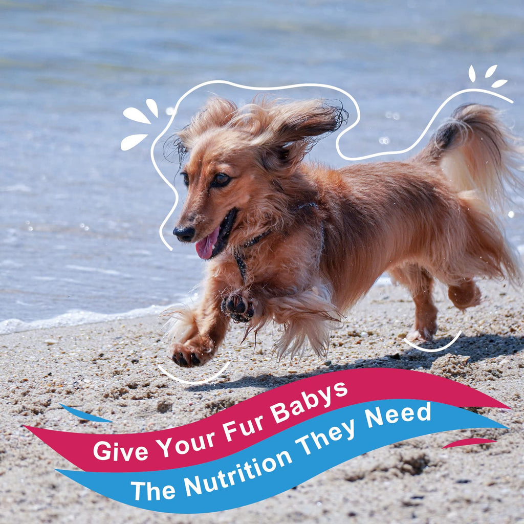 NATURE TARGET Dog Vitamins Powder, Probiotics & Digestive Enzymes for Gut Health, Glucosamine & Chondroitin & Omega 3, Complete Supplement for Homemade Dog Food, Joint & Skin & Immune Support
