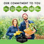 Cool Season Vegetable Seeds Variety Pack for Planting