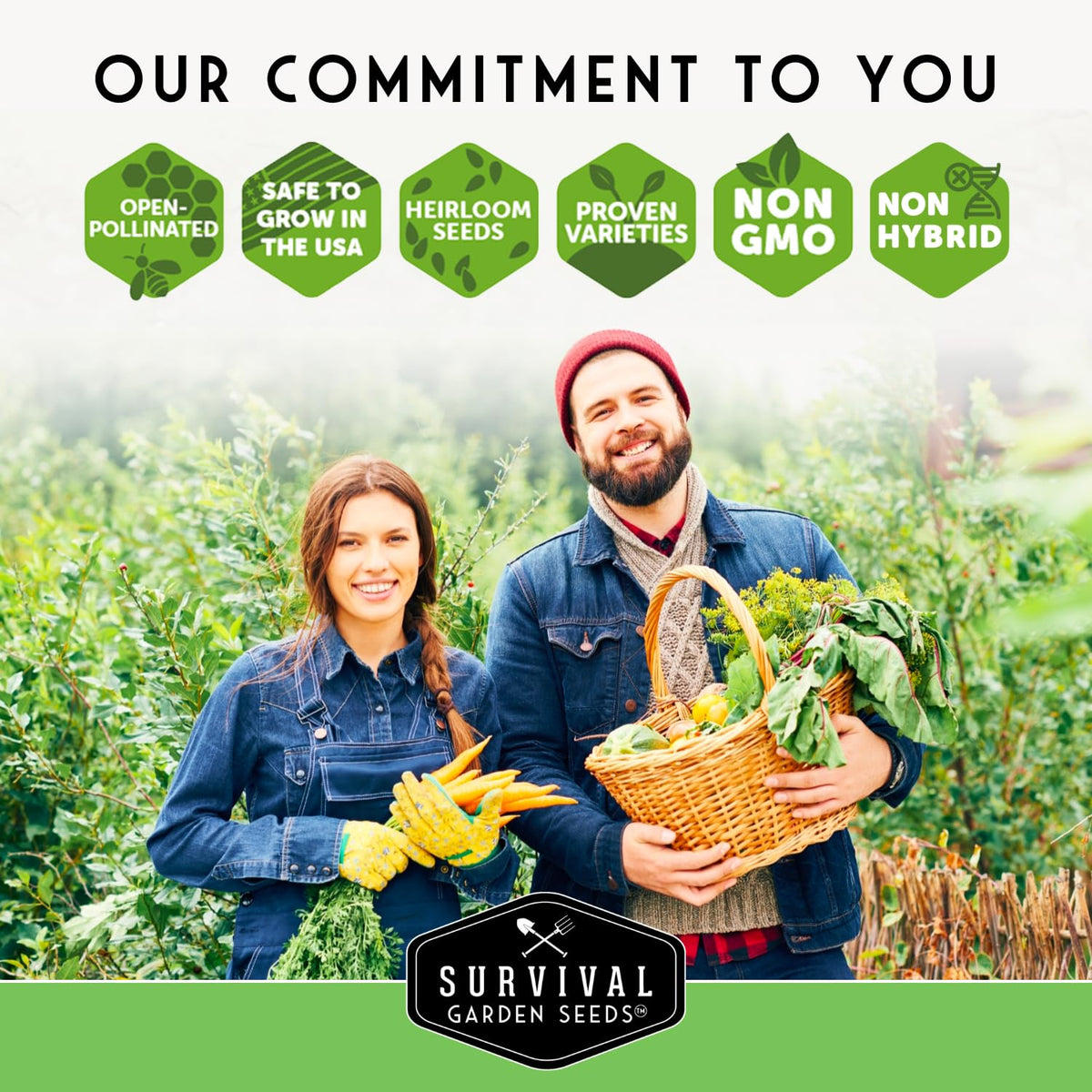 Cool Season Vegetable Seeds Variety Pack for Planting