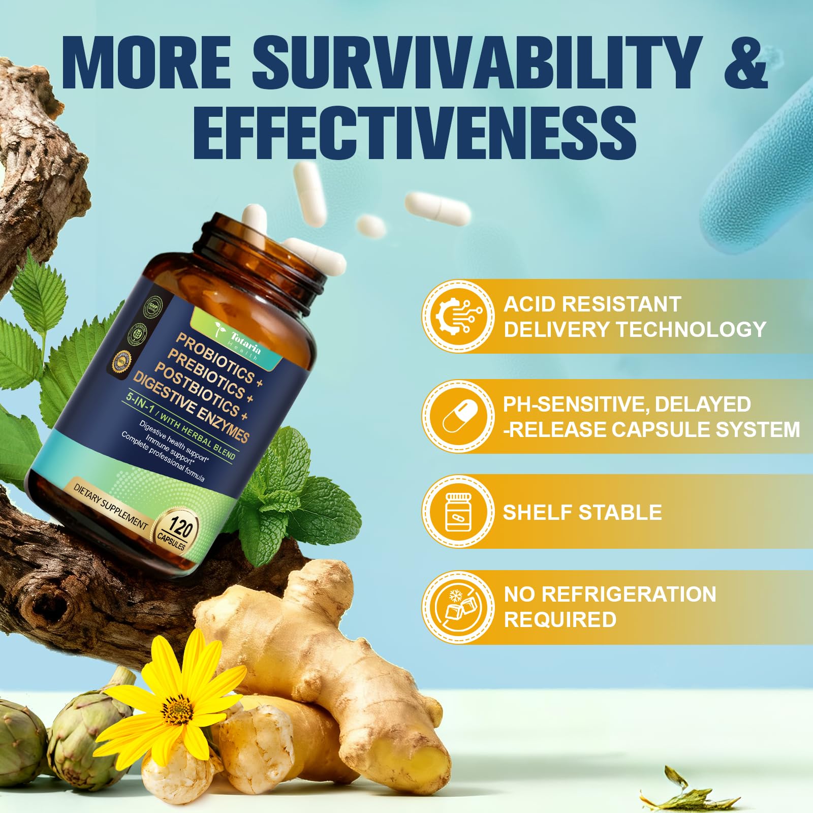Totaria (2 Packs) 5-in-1 Probiotic Prebiotic & Postbiotic for Women Men, 60 Billion CFU 24 Strains w/Digestive Enzymes, Slippery Elm, Daily Complete Gut Health, Digestive & Immune Support